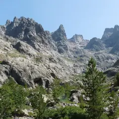 Skaliste zbocza górskie z sosnami, prowadzące ku szczytom. Widok na najwyższy szczyt Korsyki, Monte Cinto, w słoneczny dzień.