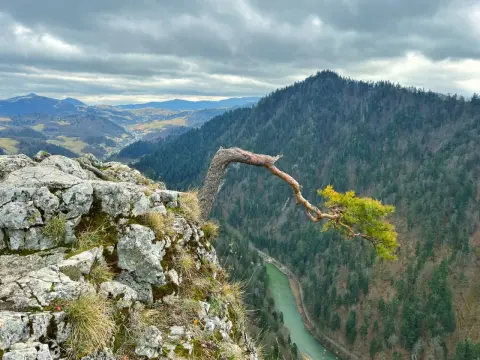 Pieniny - łatwe szlaki na pierwszy raz? Wybierz idealną trasę!